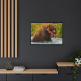 Brown Bear Fishing for Salmon, Katmai National Park