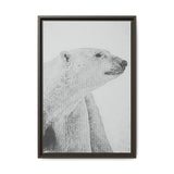 Polar Bear Portrait, Ukkusiksalik National Park
