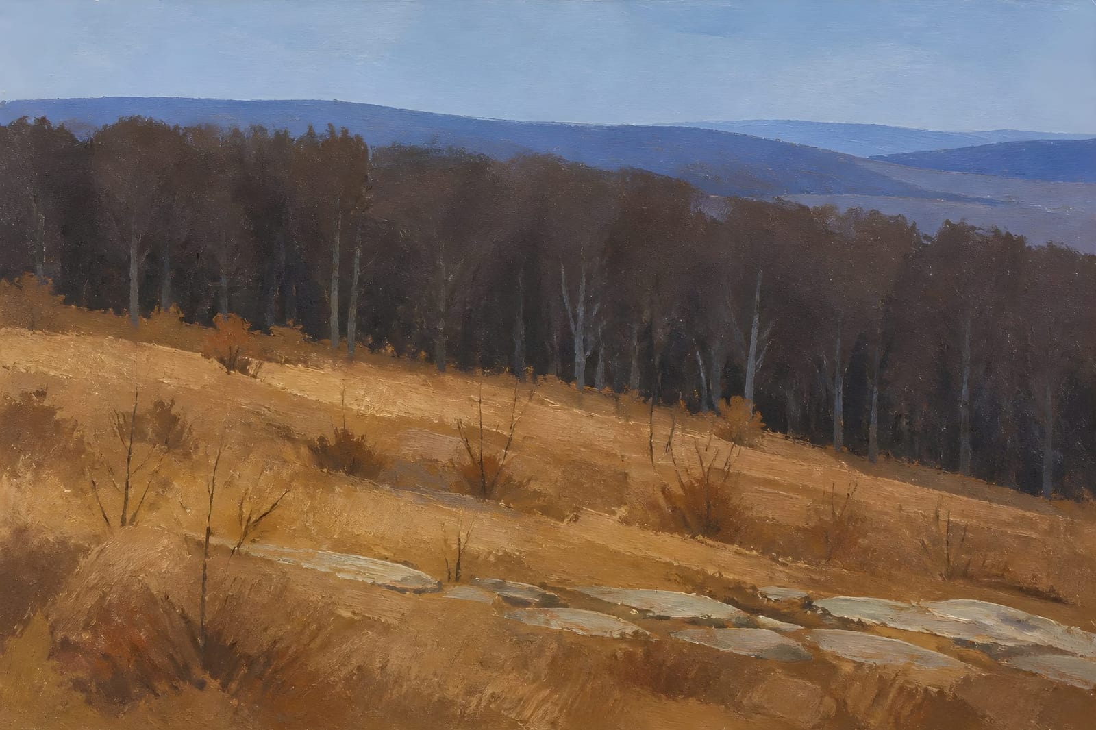 A winter meadow slopes toward a dark line of leafless woodland, with blue ridges fading behind